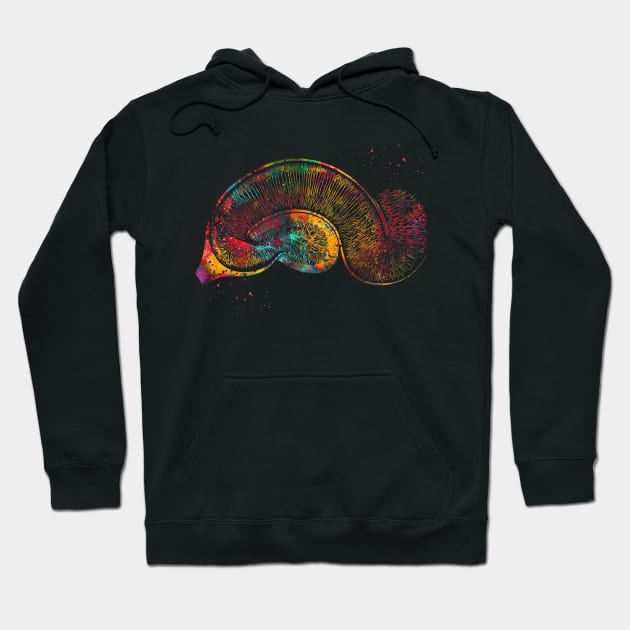 Brain Pyramidal Neurons Hoodie by erzebeth